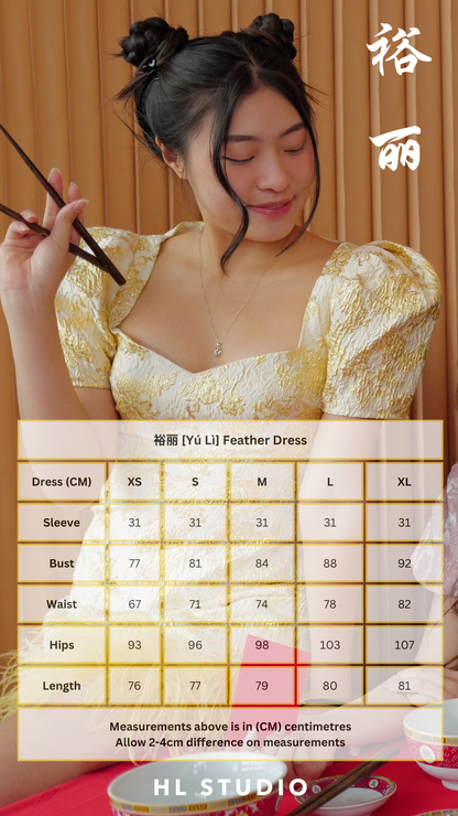 裕丽 [Yú Lì] Feather Dress