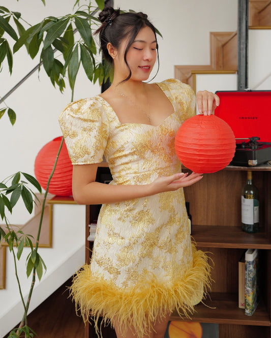 裕丽 [Yú Lì] Feather Dress